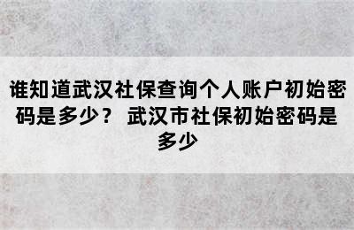 谁知道武汉社保查询个人账户初始密码是多少？ 武汉市社保初始密码是多少